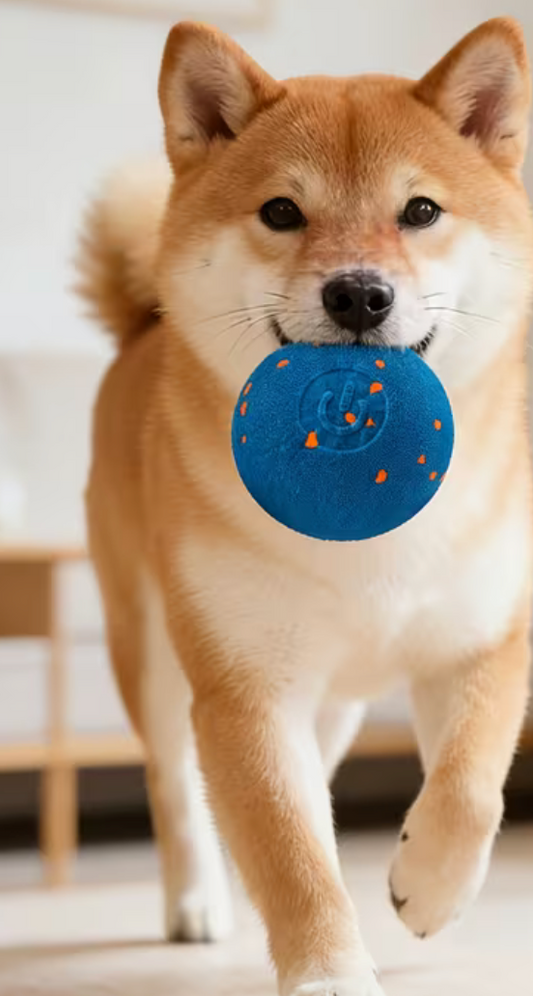 Balle Interactive Intelligente pour Chien - Jouet Automatique Anti-Ennui