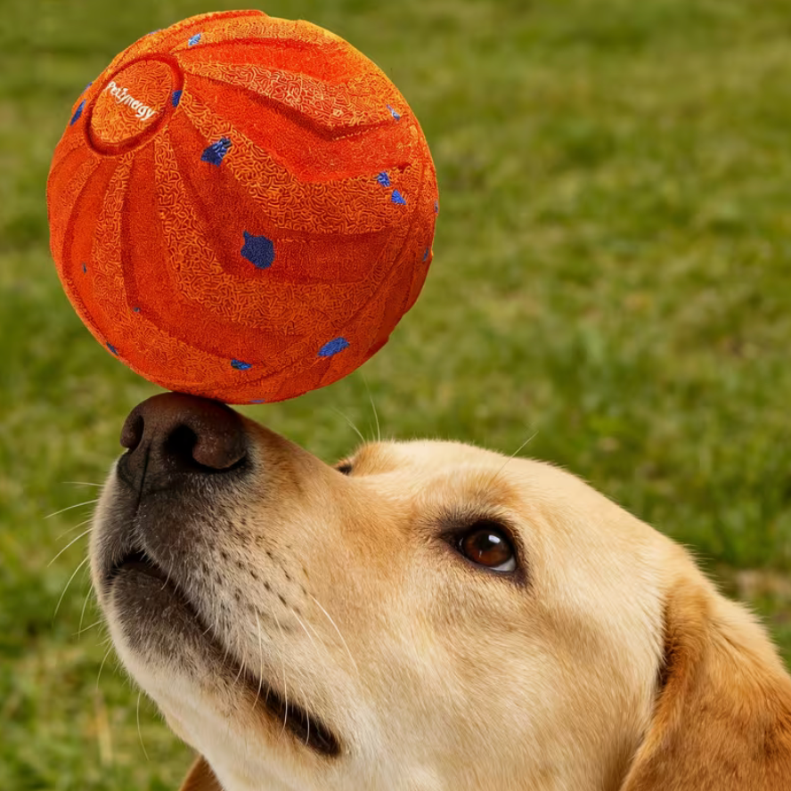Balle Interactive Chien Premium